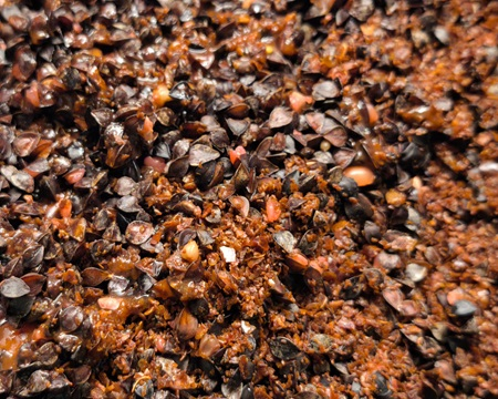 Ready to Fish Hot & Spice 2kg