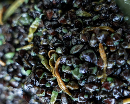 Ready to Fish Bug Mix 2kg