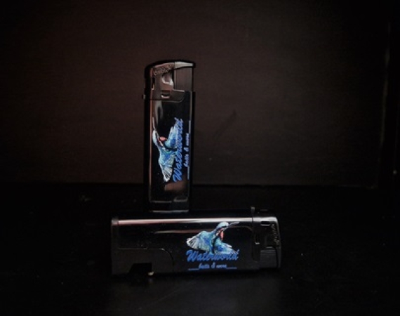 Waterworld Feuerzeug Eisvogel