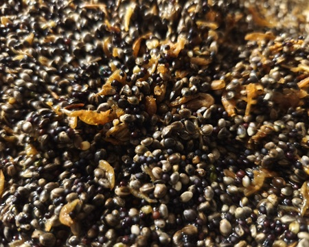 Ready to Fish Shrimp Mix 2kg